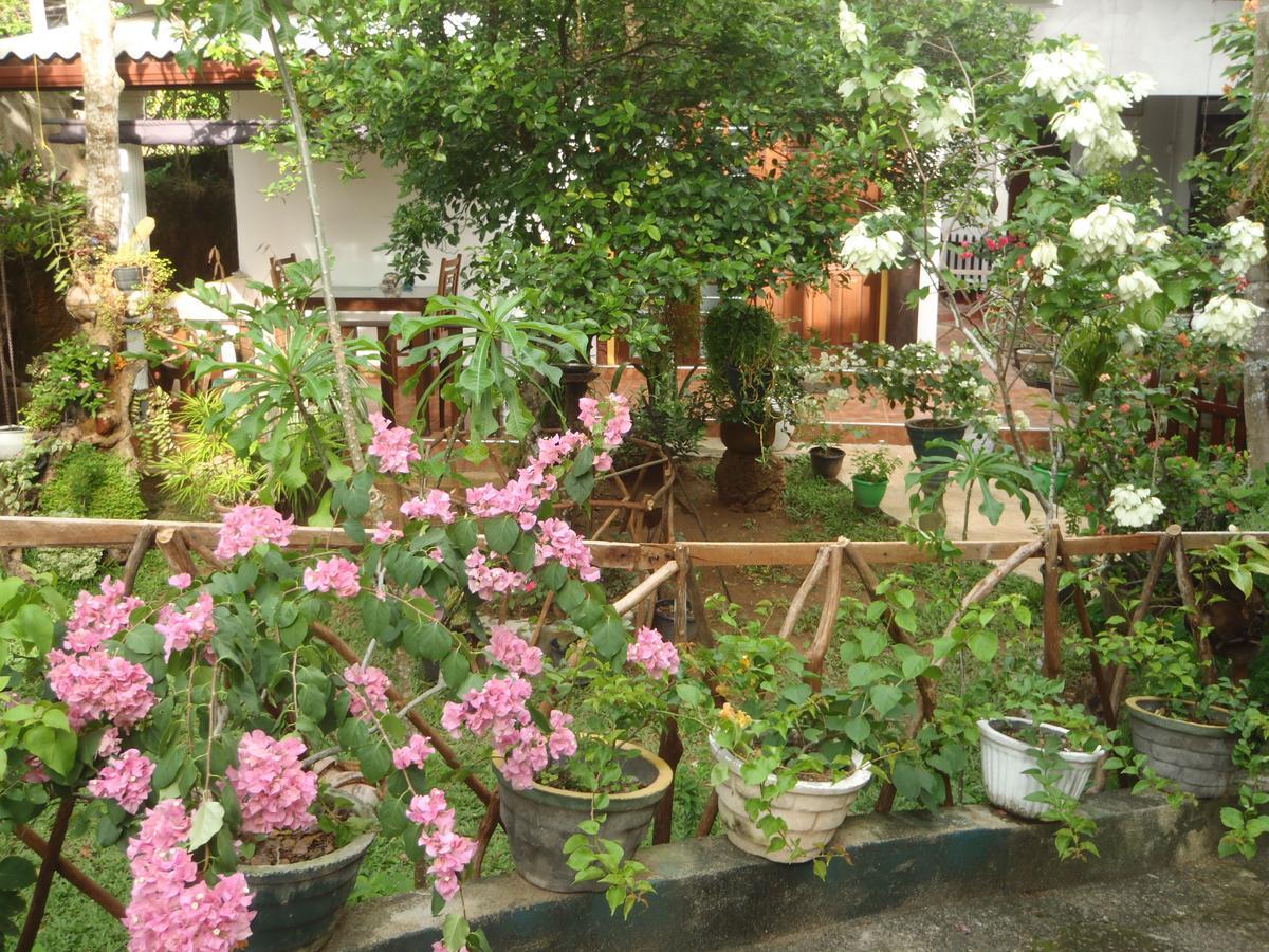 New Jaya Villa Bentota Zewnętrze zdjęcie